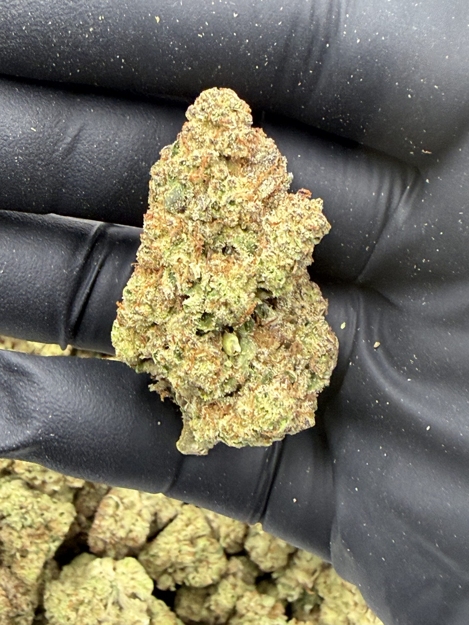 LA Confidential
